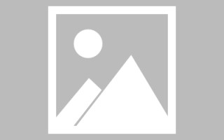丰城编制网站建设（编制网站建设包括哪些）